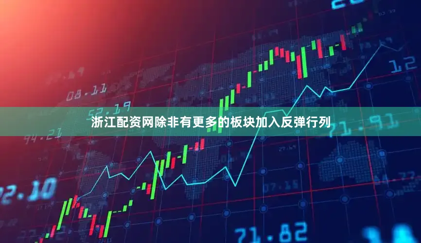 浙江配资网除非有更多的板块加入反弹行列