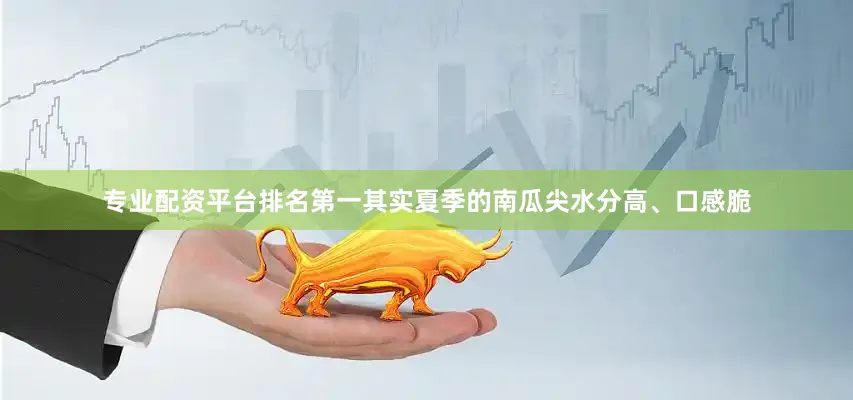专业配资平台排名第一其实夏季的南瓜尖水分高、口感脆