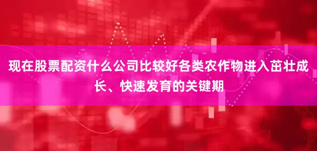 现在股票配资什么公司比较好各类农作物进入茁壮成长、快速发育的关键期