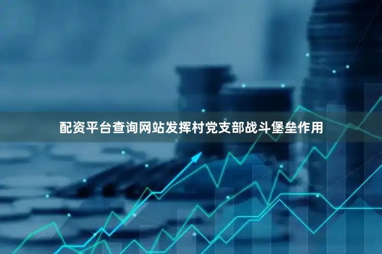 配资平台查询网站发挥村党支部战斗堡垒作用