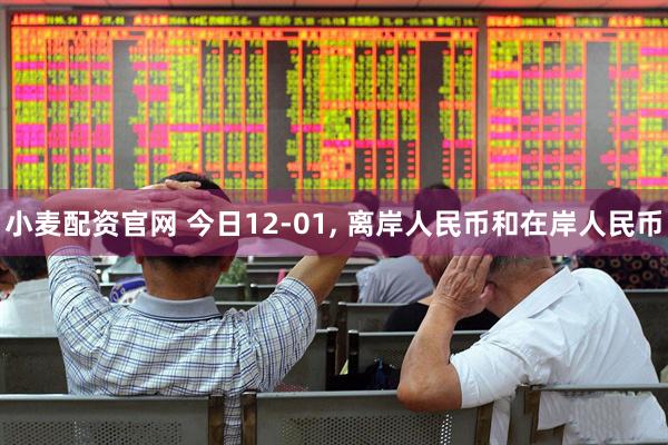 小麦配资官网 今日12-01, 离岸人民币和在岸人民币